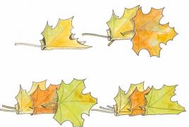 Как сделать осенний венок из листьев, рябины, цветов своими руками?